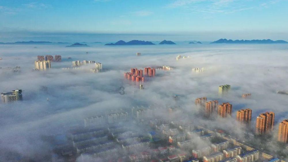 猫好几天不回家,是不是已经死了?红迪网-独特的社交平台
